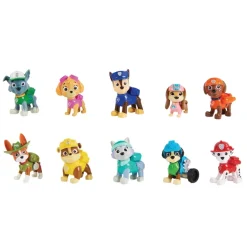 Paw Patrol Confezione Regalo Cuccioli 10° Anniversario
