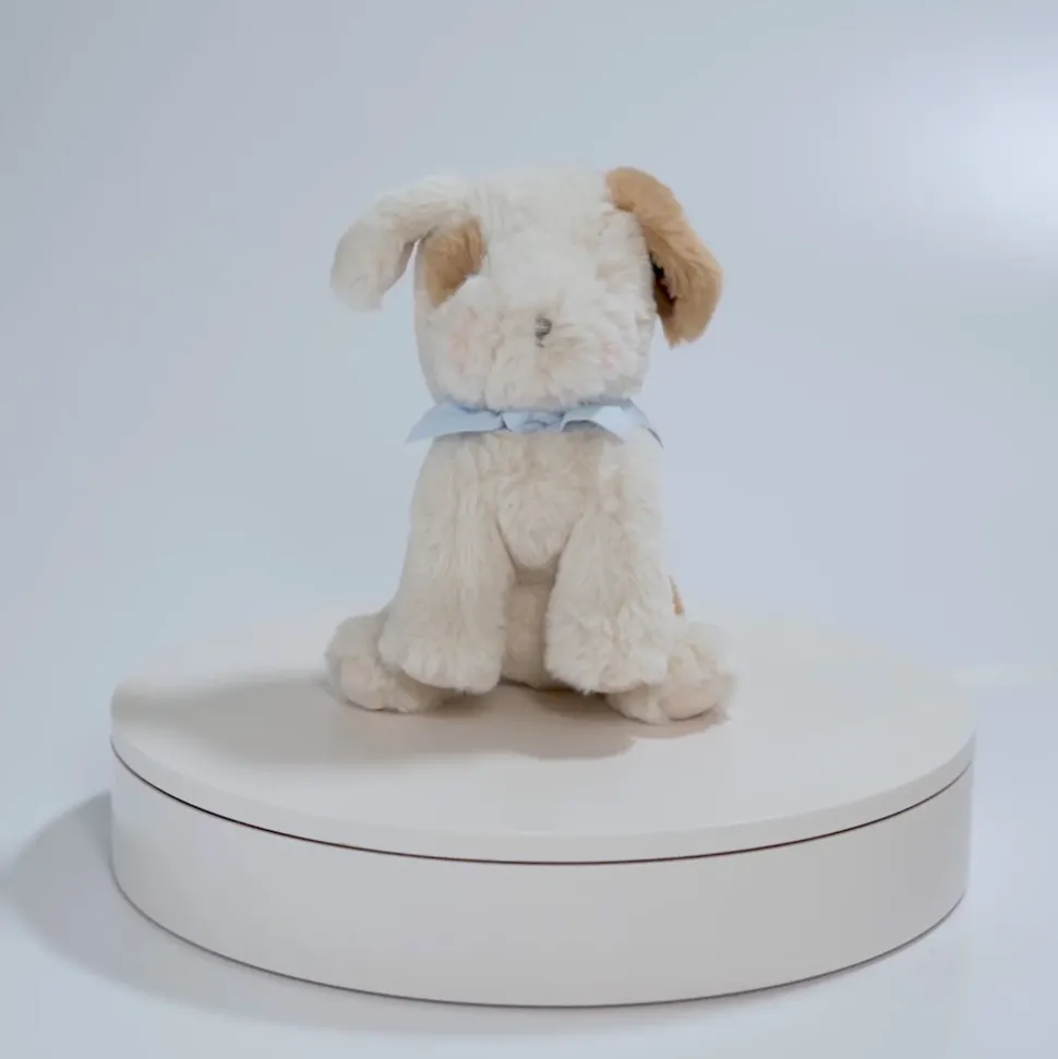 Peluche Cricket Island Skipit Box