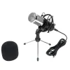 Professional Microphone