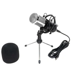 Professional Microphone