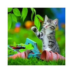 Ravensburger 3 Puzzle 49 Pezzi Gattini