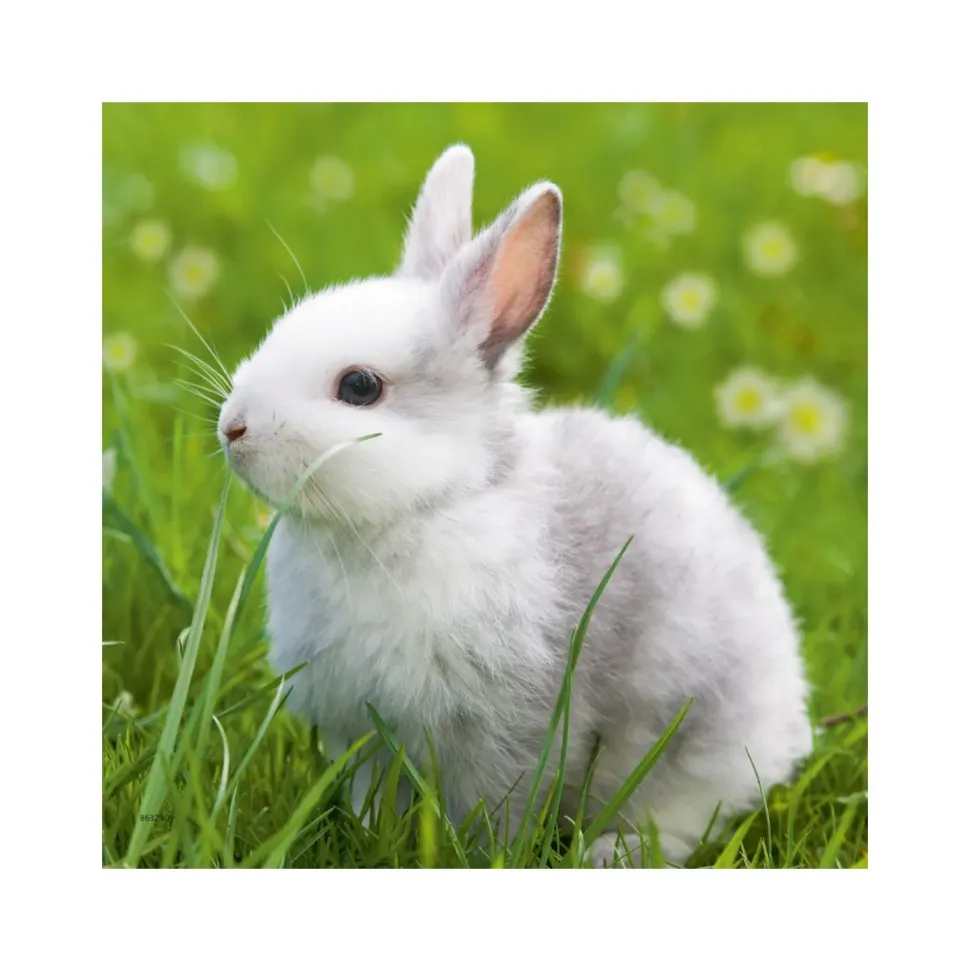 Ravensburger 3 Puzzle 49 Pezzi Teneri Coniglietti