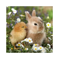 Ravensburger 3 Puzzle 49 Pezzi Teneri Coniglietti