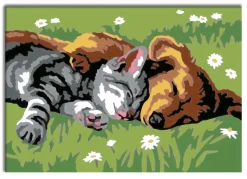 Ravensburger Creart Per Bambini, Kit Per Dipingere Con I Numeri, 7+, Serie E, Cane E Gatto Dolce Sonno