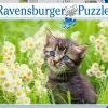 Ravensburger Puzzle Gattino Nel Prato, 500 Pezzi, Puzzle Adulti