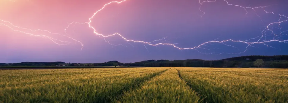 Ravensburger Puzzle Temporale Estivo Panorama, 500 Pezzi, Puzzle Adulti