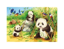 Ravensburger Puzzle 2X24 Pezzi Dolci Koala E Panda