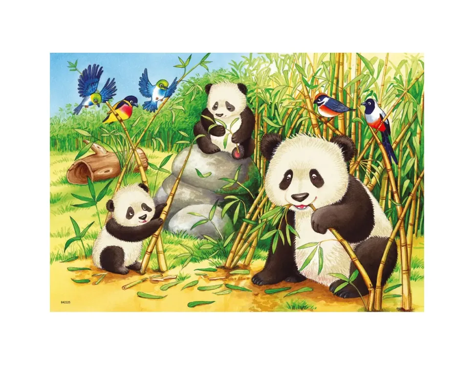 Ravensburger Puzzle 2X24 Pezzi Dolci Koala E Panda