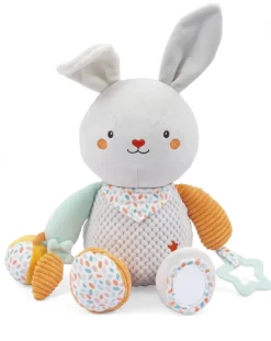 Rene Coniglietto Peluche Attivita 25Cm