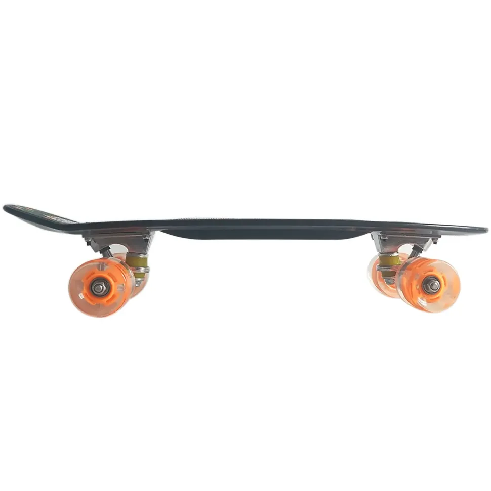 Skateboard Cruiser