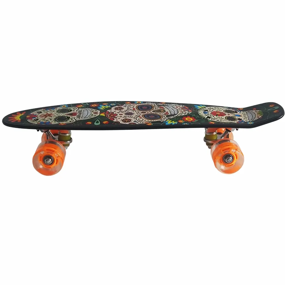 Skateboard Cruiser