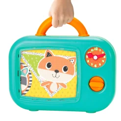 Televisione Musicale