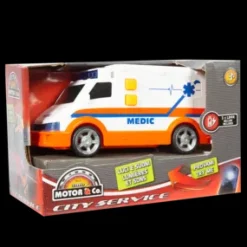 Veicoli City Service